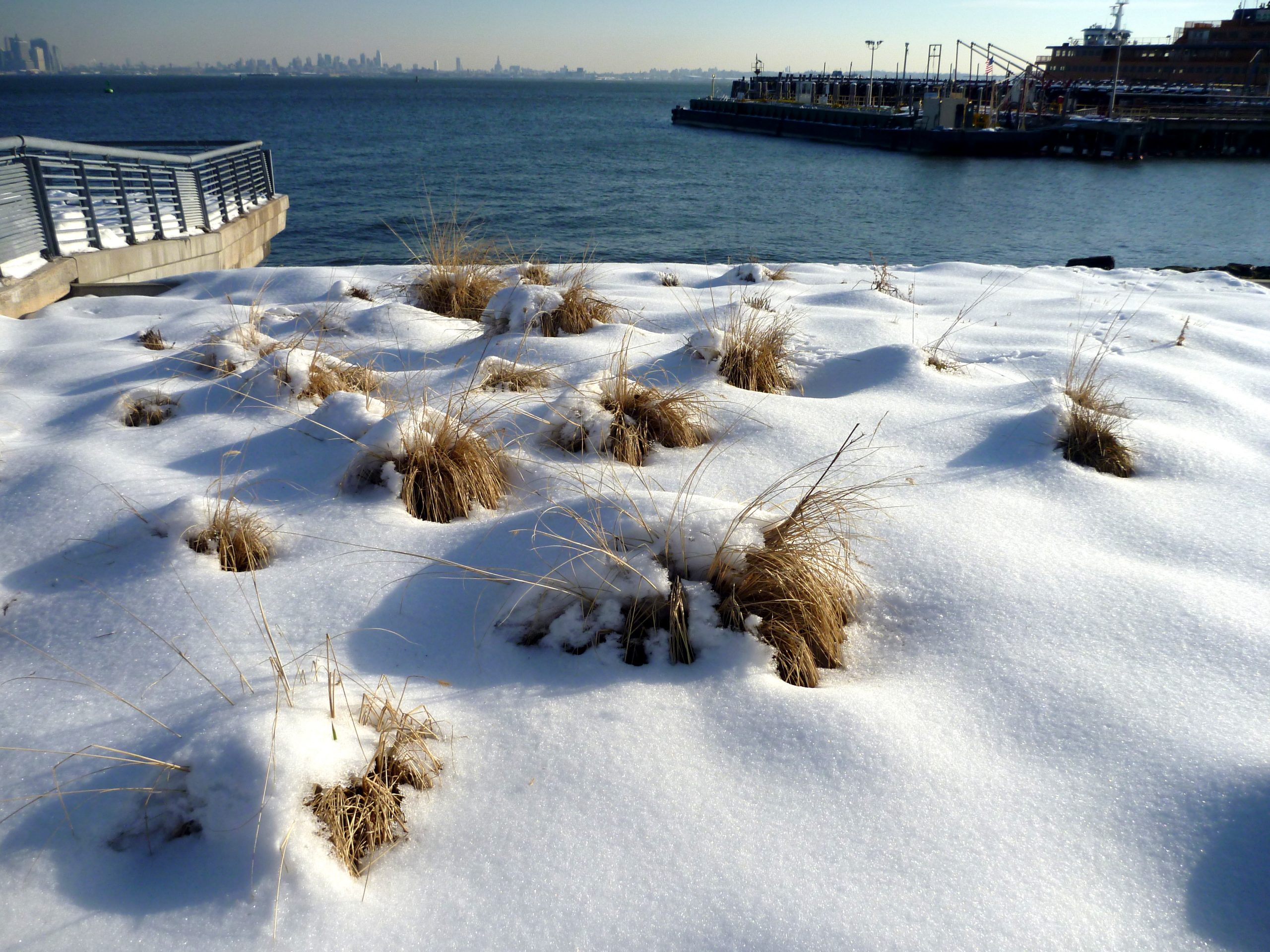 2010, St. George, Staten Island, New York