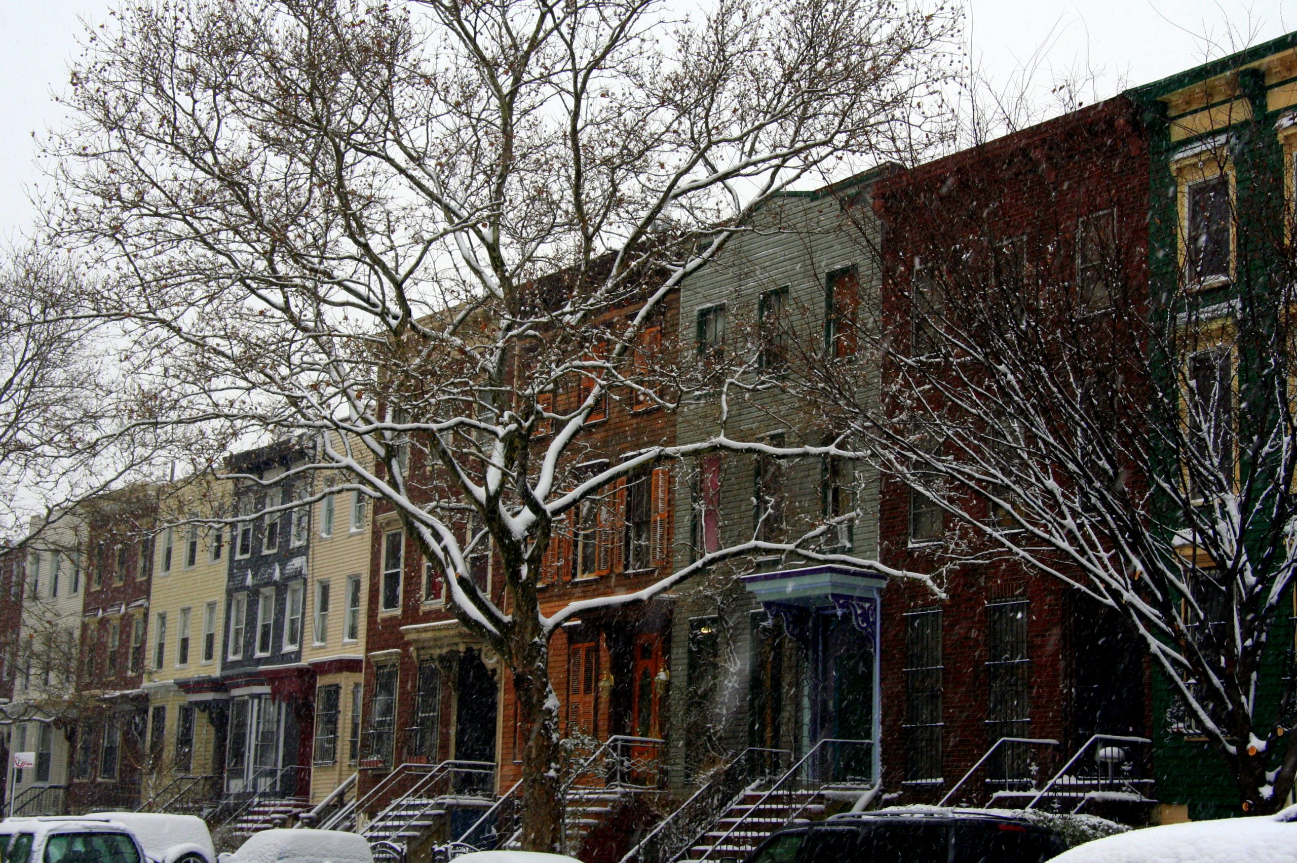 2008, Brooklyn, New York