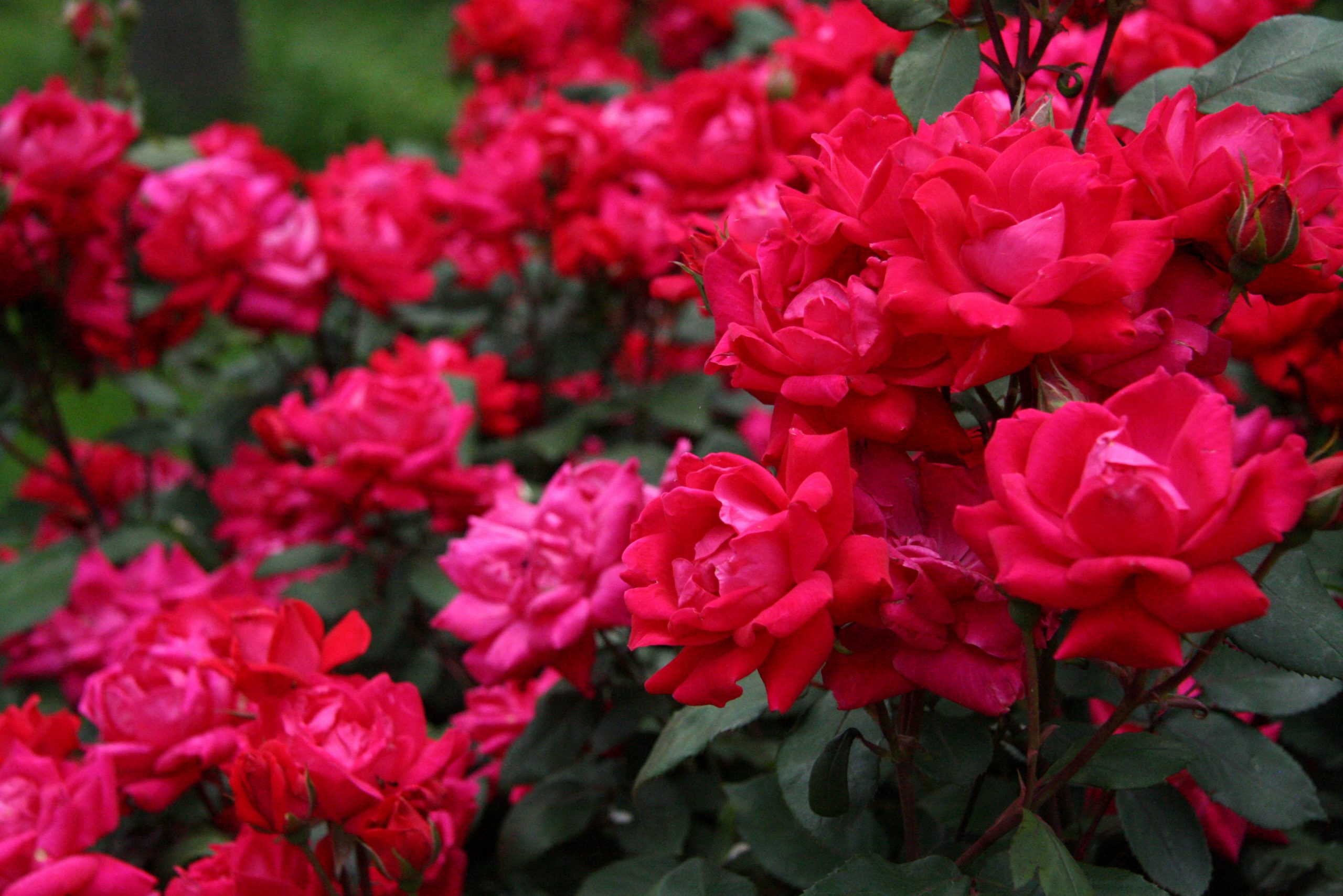 2011, Rumson, New Jersey
