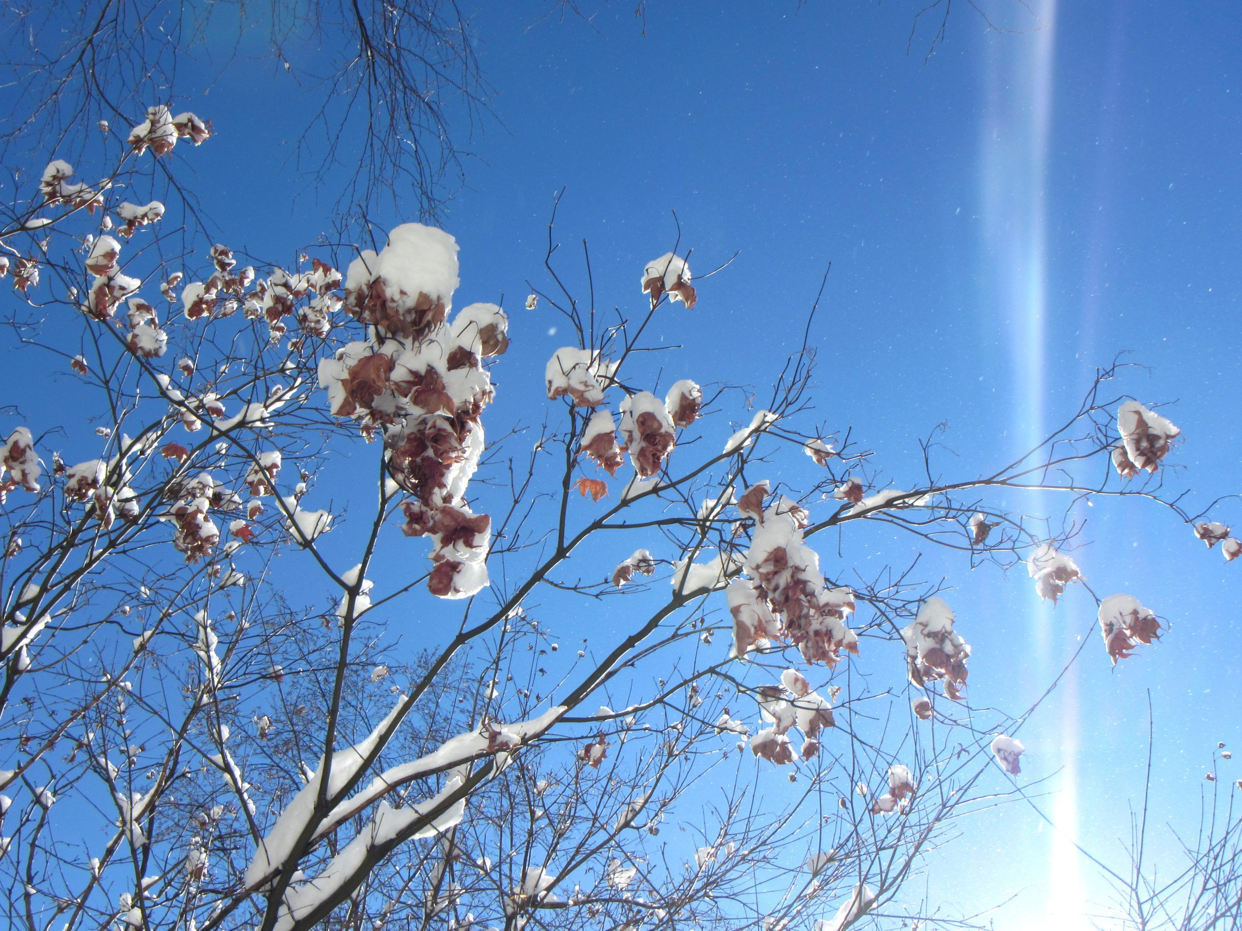 2014, Staten Island, New York