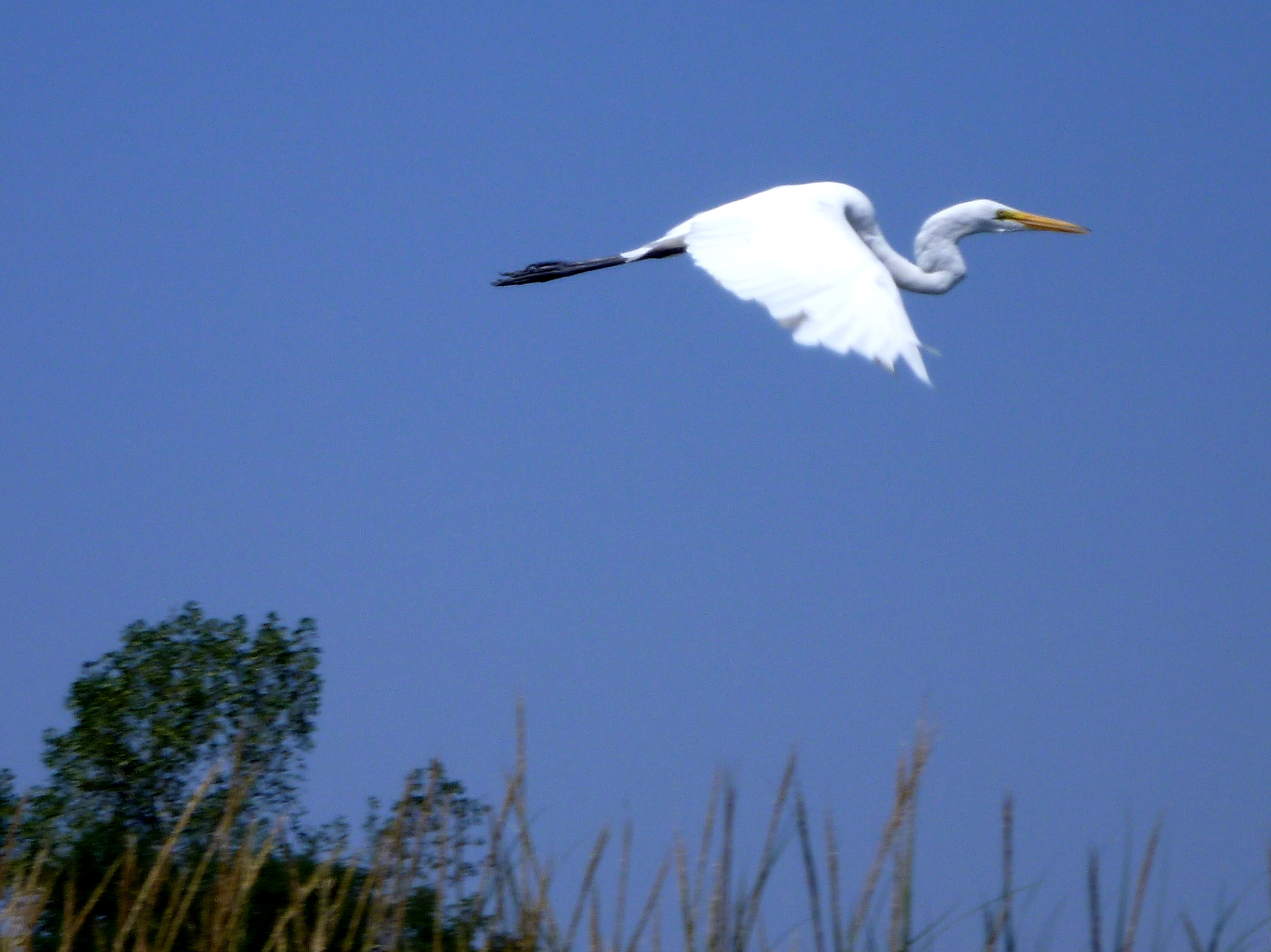 2012, Rumson, New Jersey