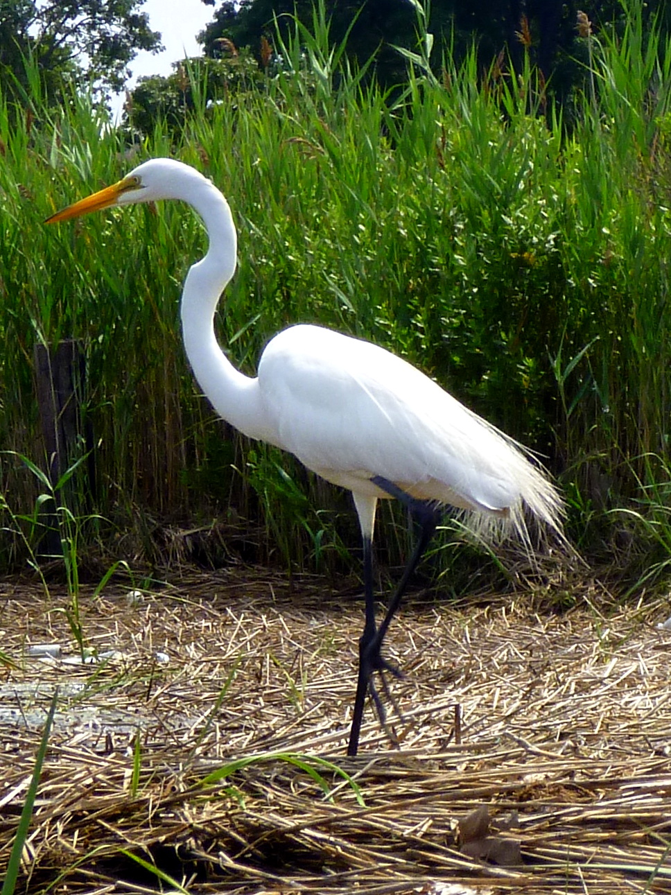2011, Rumson, New Jersey