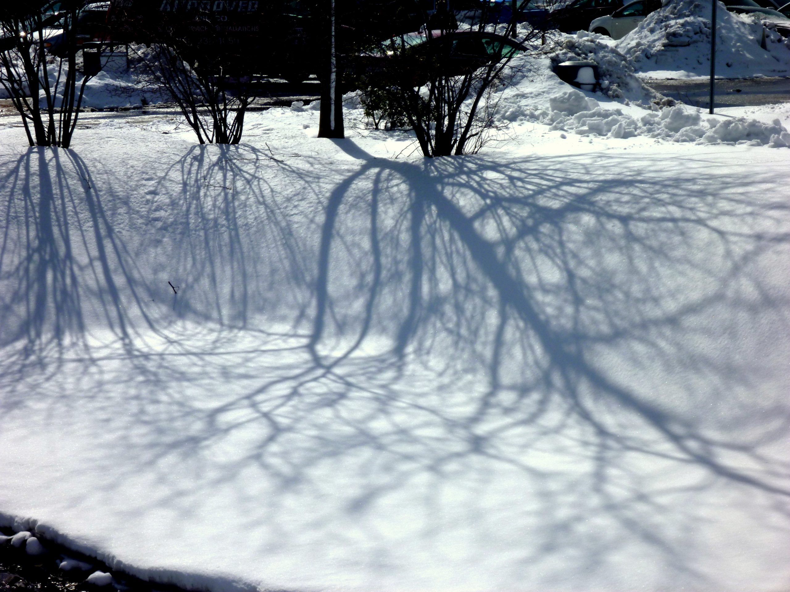 2014, Staten Island, New York