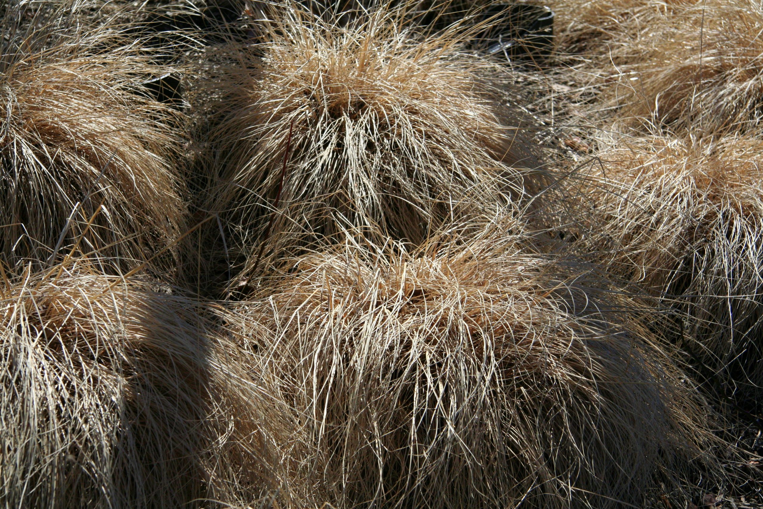 2010, Rumson, New Jersey