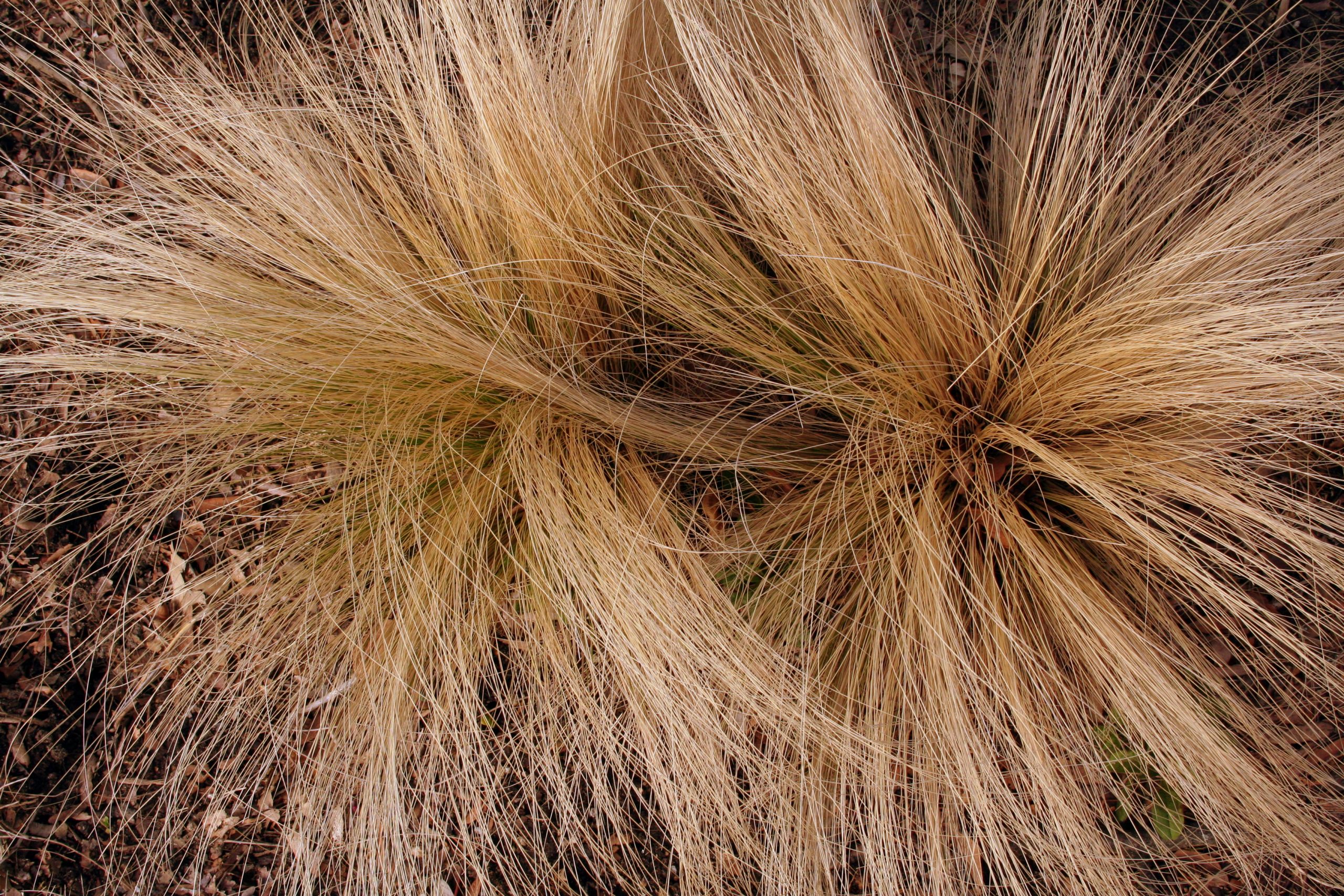 2007, Brooklyn, New York