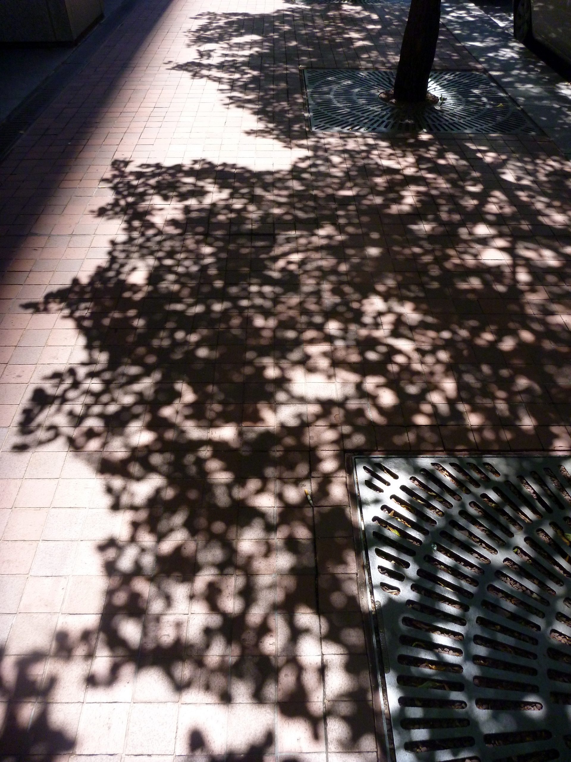 2011, New York, New York