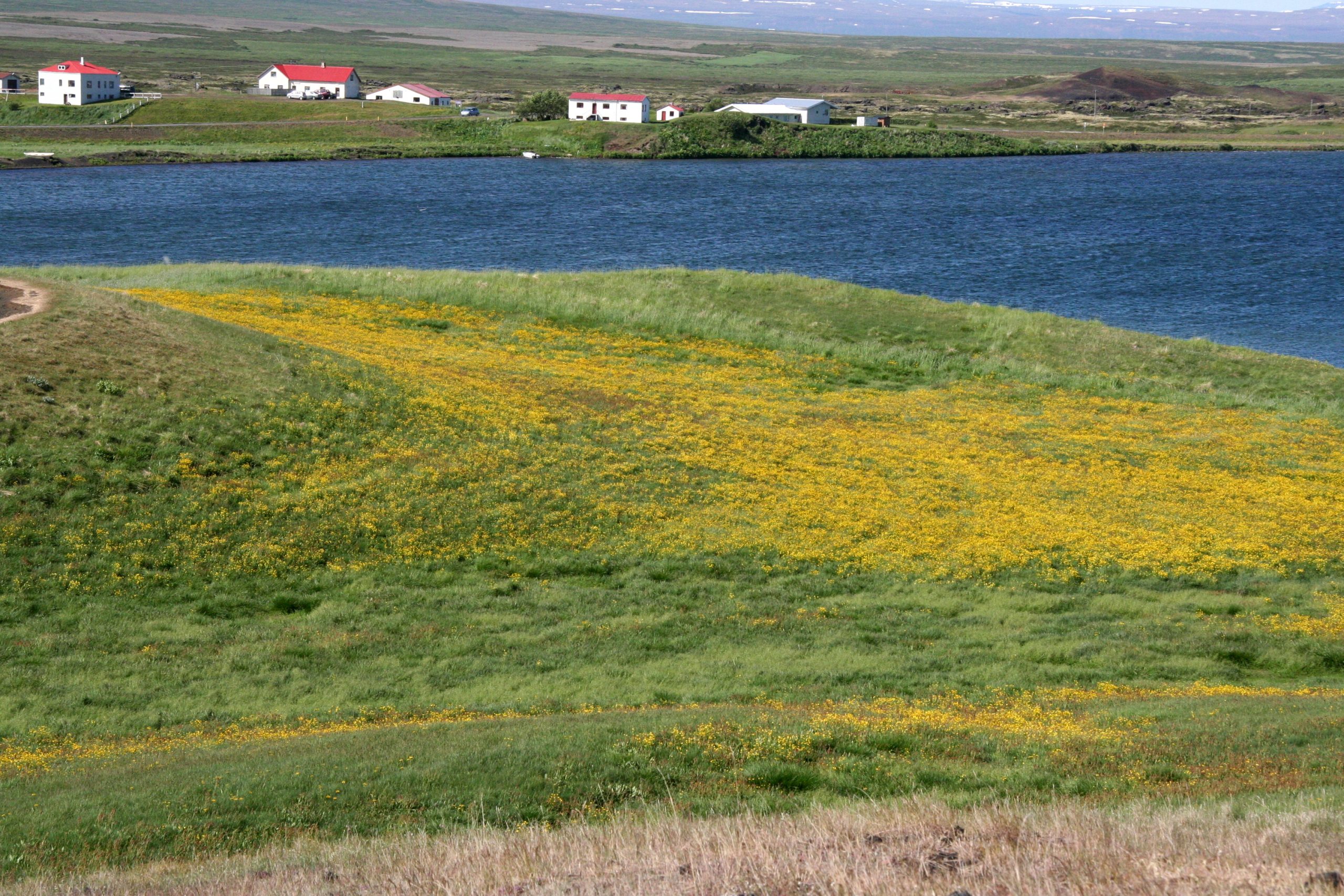 2010, Myvatn Lakes, Iceland