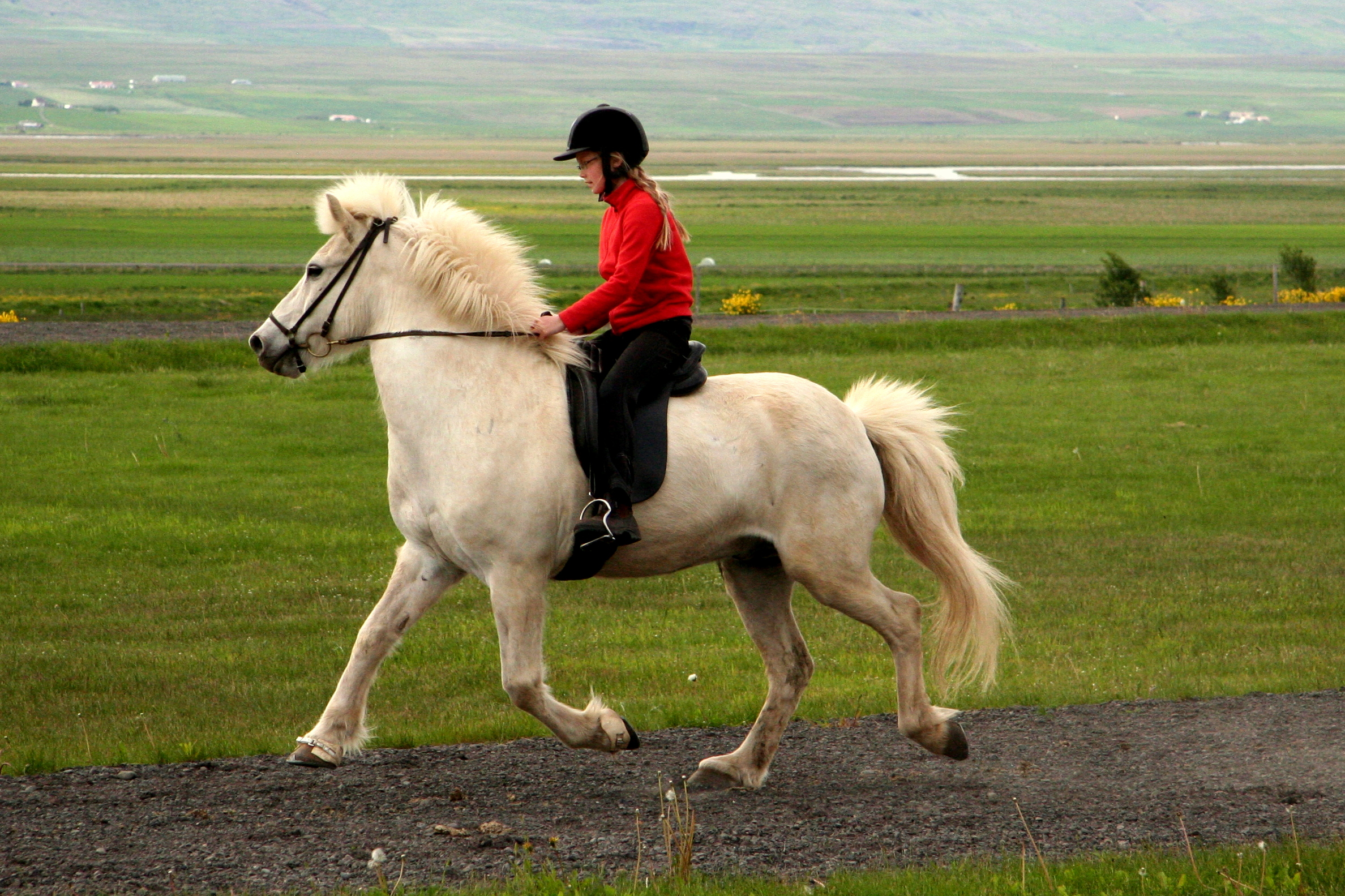 2010, Mosfellsbaer, Iceland