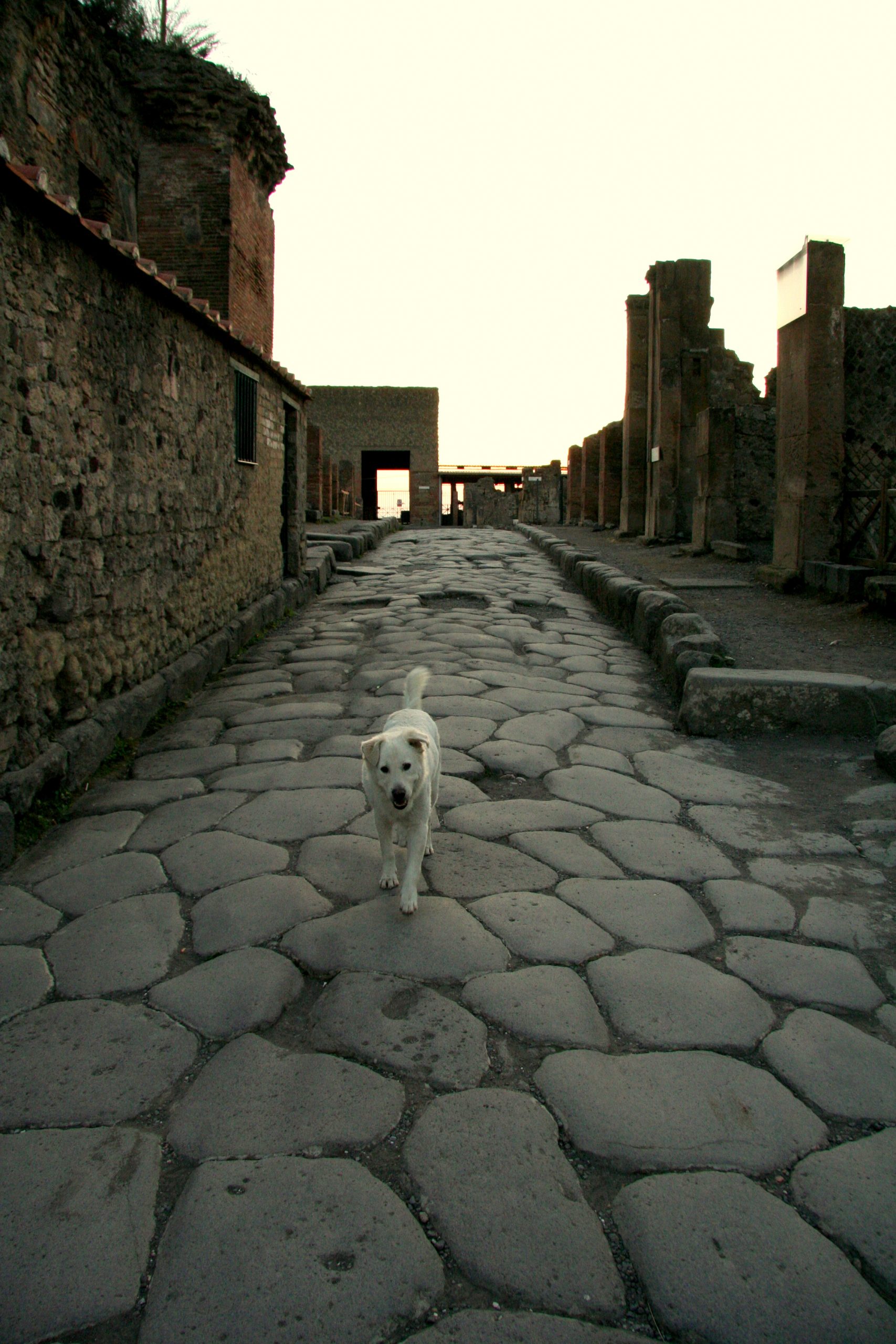 2009, Pompeii, Italy