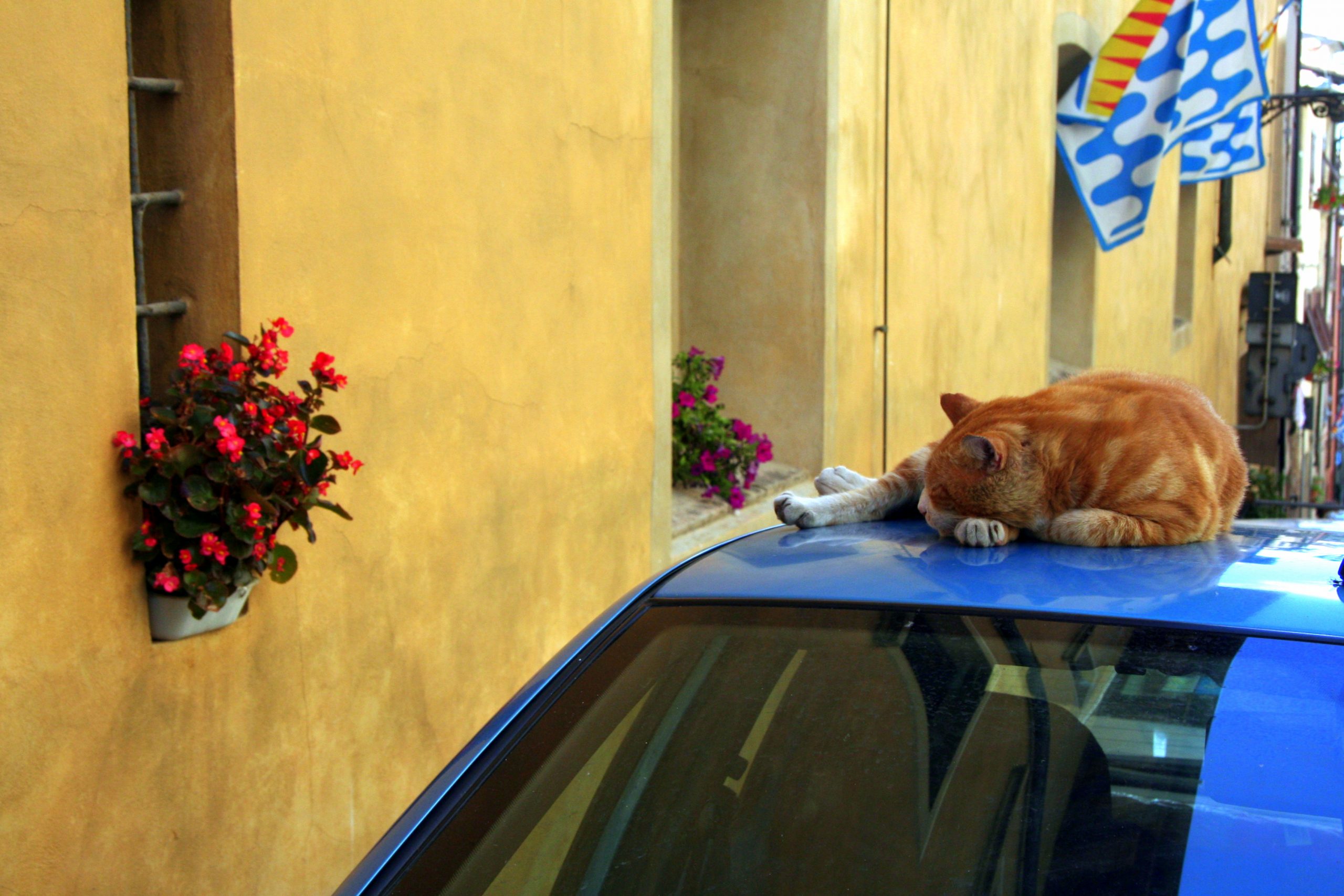 2008, Volterra, Italy